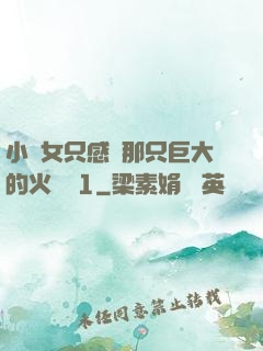 小龍女只感覺那只巨大的火龍槍1